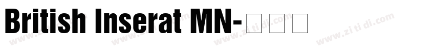 British Inserat MN字体转换
